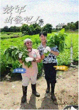 环球厨房 综艺免费观看